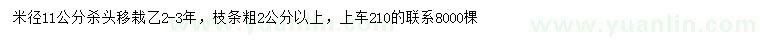 求购米径11公分移栽栾树