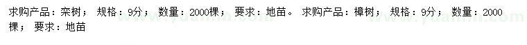 求购9公分栾树、樟树