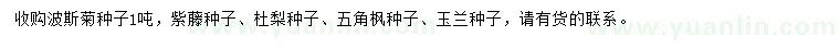 求购波斯菊种子、紫藤种子、杜梨种子等