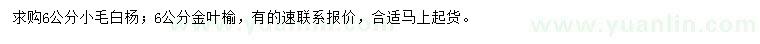 求购6公分小毛白杨、金叶榆