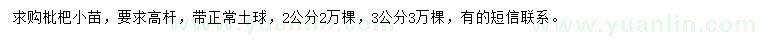 求购2、3公分枇杷苗