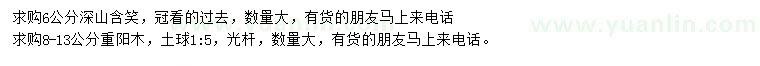 求购6公分深山含笑、8-13公分重阳木