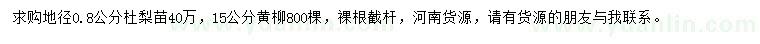 求购地径0.8公分杜梨苗、15公分黄柳