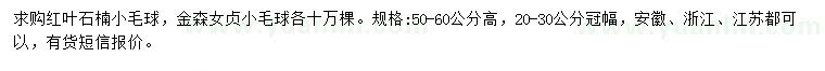 求购高50-60公分红叶石楠小毛球、金森女贞小毛球