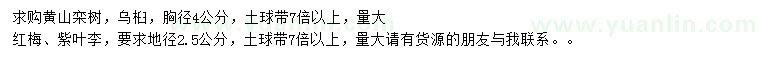 求购黄山栾树、乌桕、红梅等