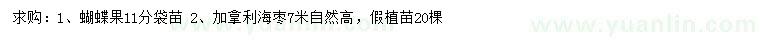 求购11公分蝴蝶果袋苗、高7米加拿利海枣