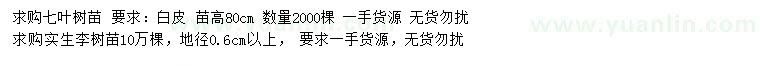 求购高80公分七叶树苗、地径0.6公分以上实生李树苗