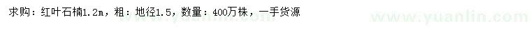 求购1.2米红叶石楠