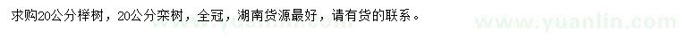 求购20公分榉树、栾树