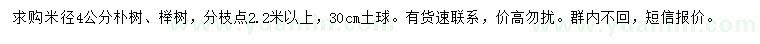 求购米径4公分朴树、榉树