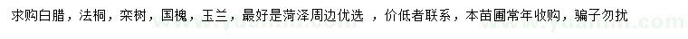 求购白腊、法桐、栾树等