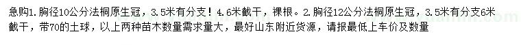 求购胸径10、12公分法桐