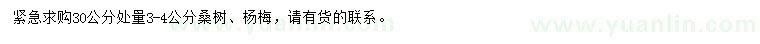 求购30公分处量3-4公分桑树、杨梅