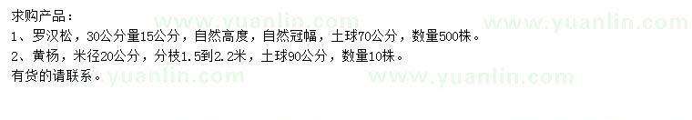 求购30公分量15公分罗汉松、米径20公分黄杨