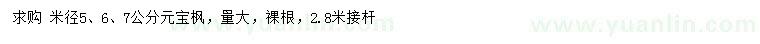 求购米径5、6、7公分元宝枫