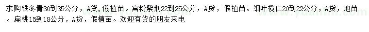 求购铁冬青、宫粉紫荆、细叶榄仁等