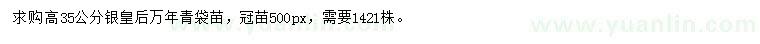 求购高35公分银皇后万年青