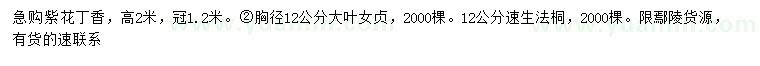 求购紫花丁香、大叶女贞、速生法桐