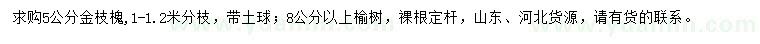 求购5公分金枝槐、8公分以上榆树