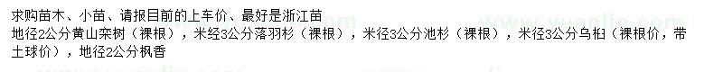 求购黄山栾树、落羽杉、池杉等