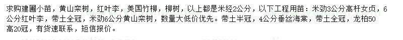 求购黄山栾树、红叶李、美国竹柳等