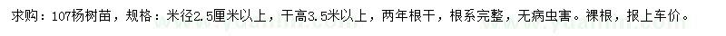 求购米径2.5公分以上107杨树苗