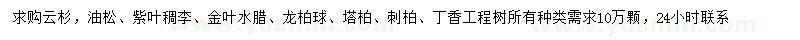 求购云杉、油松、紫叶稠李等