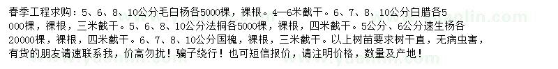 求购毛白杨、白腊、法桐等