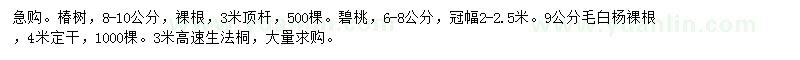 求购椿树、碧桃、毛白杨等