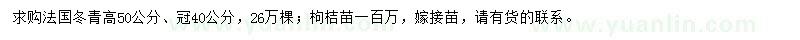 求购高50公分法国冬青、枸桔苗