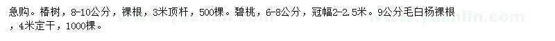 求购椿树、碧桃、毛白杨