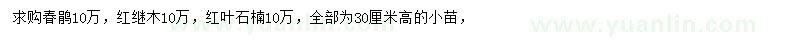 求购春鹃、红继木、红叶石楠