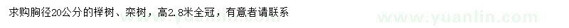 求购胸径20公分榉树、栾树