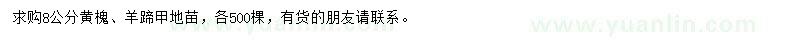 求购8公分黄槐、羊蹄甲