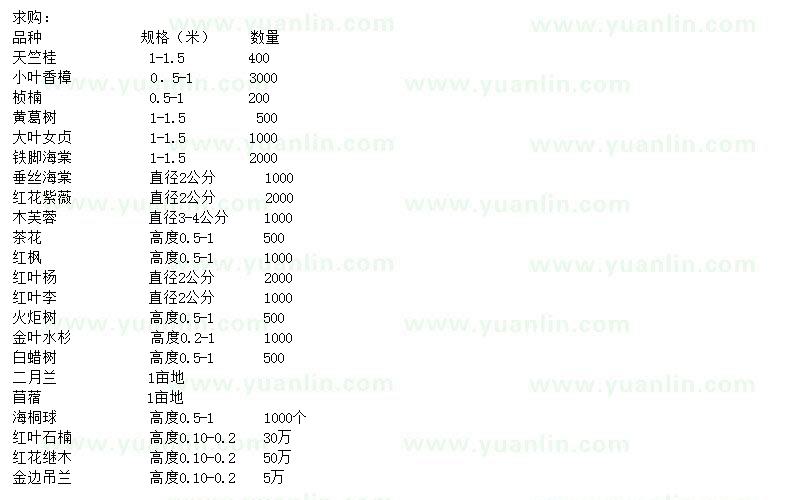 求购天竺桂、小叶香樟、桢楠等