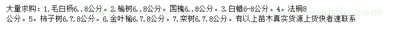 求购毛白杨、榆树、国槐等