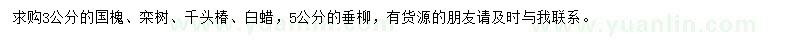 求购国槐、栾树、千头椿等