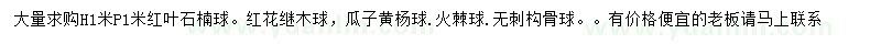 求购红叶石楠球、红花继木球、瓜子黄杨球等