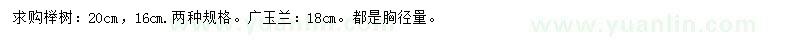 求购16、20公分榉树、18公分广玉兰