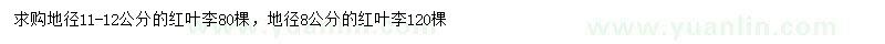 求购地径8、11-12公分红叶李