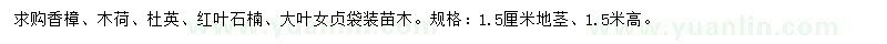 求购香樟、木荷、杜英等