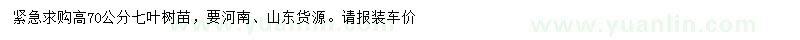 求购高70公分七叶树