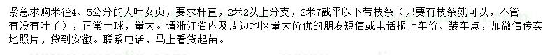 求购米径4、5公分大叶女贞