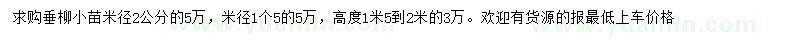 求购米径1.5、2公分垂柳小苗