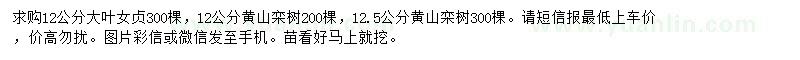 求购12公分大叶女贞、12、12.5公分黄山栾树