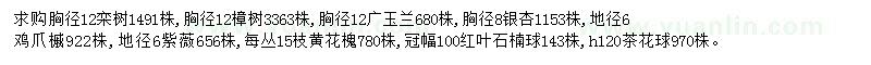 求购栾树、樟树、广玉兰等