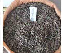 出售马甲子种子 新采林木种子 包发芽质量保证马甲子种子