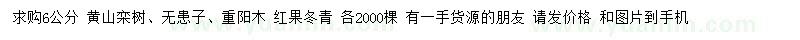 求购黄山栾树、无患子、重阳木等