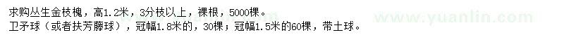 求购高1.2米金枝槐、冠幅1.5、1.8米卫矛球