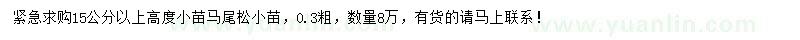 求购15公分以上高马尾松小苗